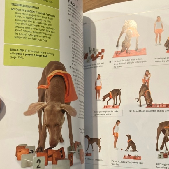 101 Dog Tricks Book: step by step activities to engage, challenge and bond - Picture 9 of 16